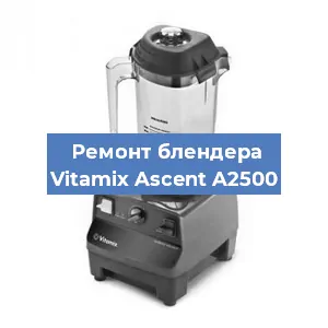 Замена щеток на блендере Vitamix Ascent A2500 в Ростове-на-Дону